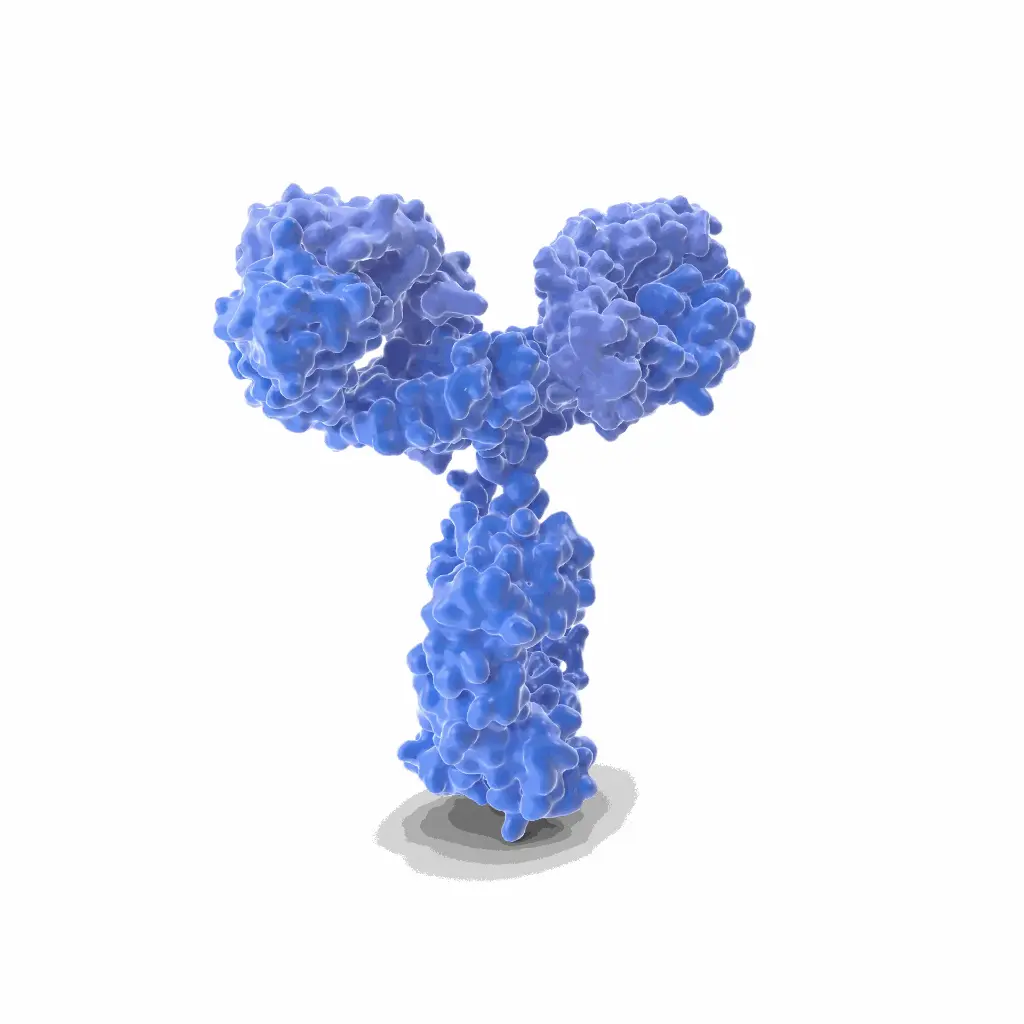 Gentaur Anti-FITC HRP Conjugated Antibody