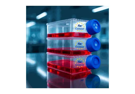 [GEN-CSI001Rb01-500k] Primary ADCC Cell, Rabbit