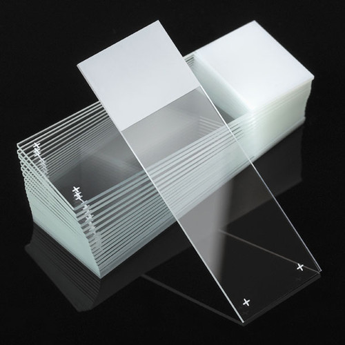 [GEN-MS-58W-10] Positive Charged White Glass Microscope Slides, Color Frosted for Histology & Pathology